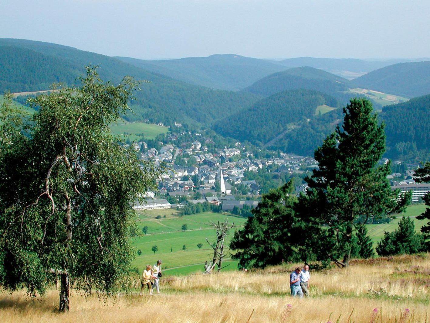 Belvita 3 Mit Hallenbad & Sauna Willingen (Upland)